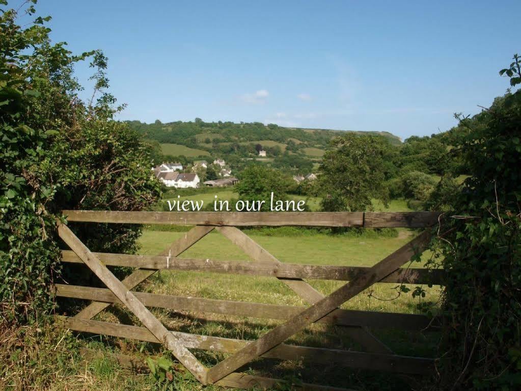Cozy Snug Room, Short Drive To Lyme Regis, Crackling Fireplace, Private Balcony & Stunning Countryside Views, Free Private Parking & Wifi Axminster Exteriér fotografie