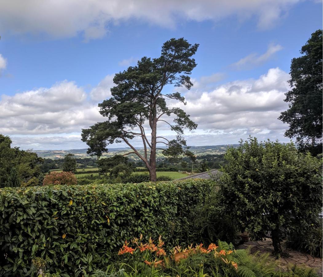 Cozy Snug Room, Short Drive To Lyme Regis, Crackling Fireplace, Private Balcony & Stunning Countryside Views, Free Private Parking & Wifi Axminster Exteriér fotografie