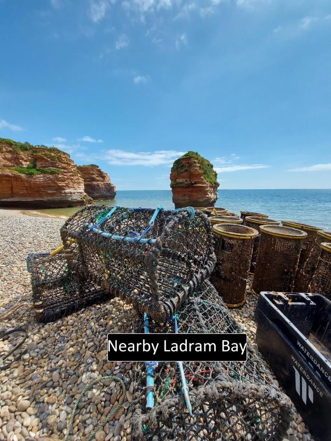 Cozy Snug Room, Short Drive To Lyme Regis, Crackling Fireplace, Private Balcony & Stunning Countryside Views, Free Private Parking & Wifi Axminster Exteriér fotografie